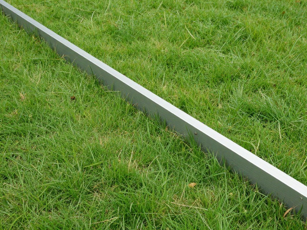 Garden bed with metal edging creating clean separation from lawn