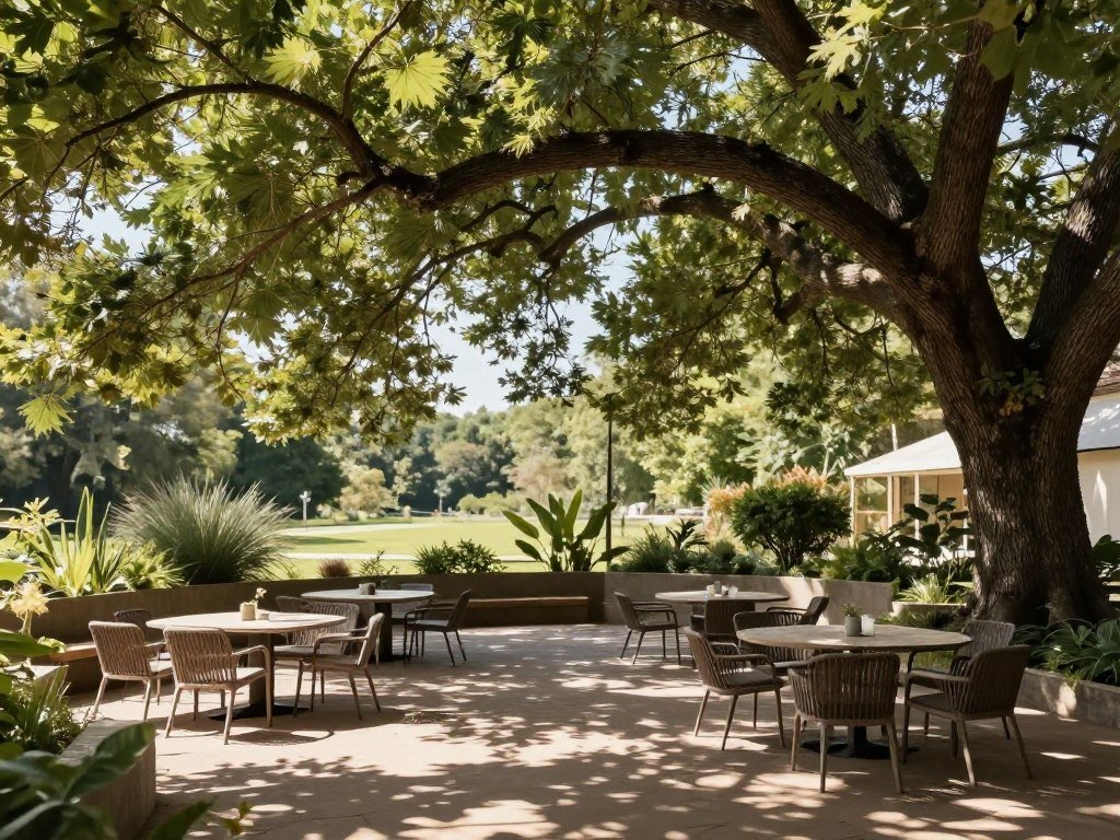 Strategic tree placement creating natural shade over a patio seating area